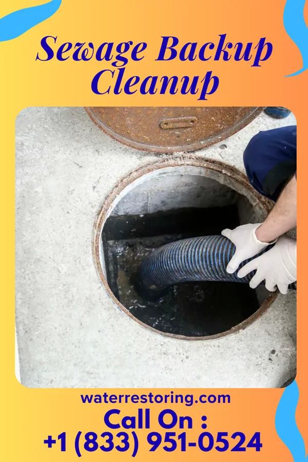 Sewage Backup Cleanup in Kinderhook, IL